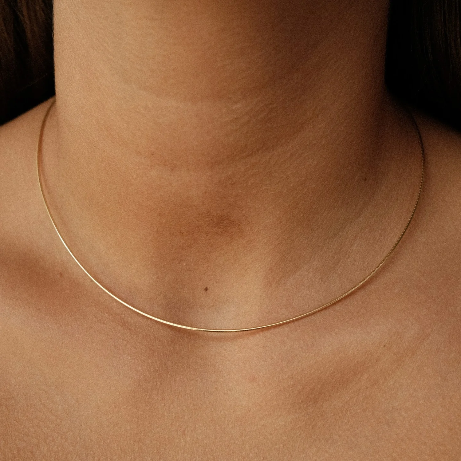 Omega Necklace