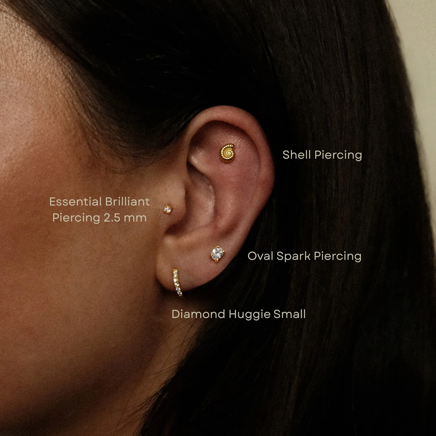 Shell Piercing - Image 3