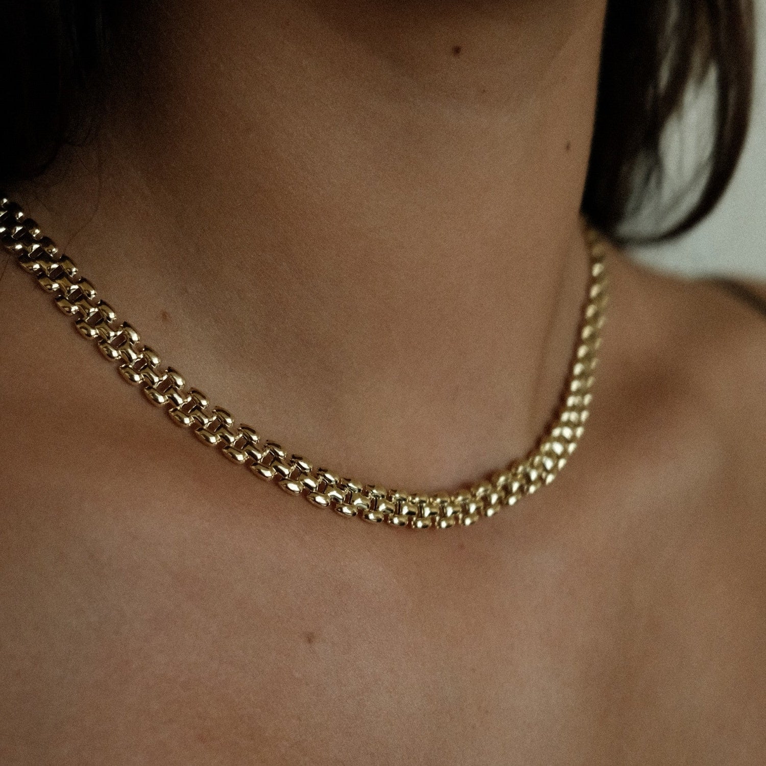 Panther Necklace - Image 2