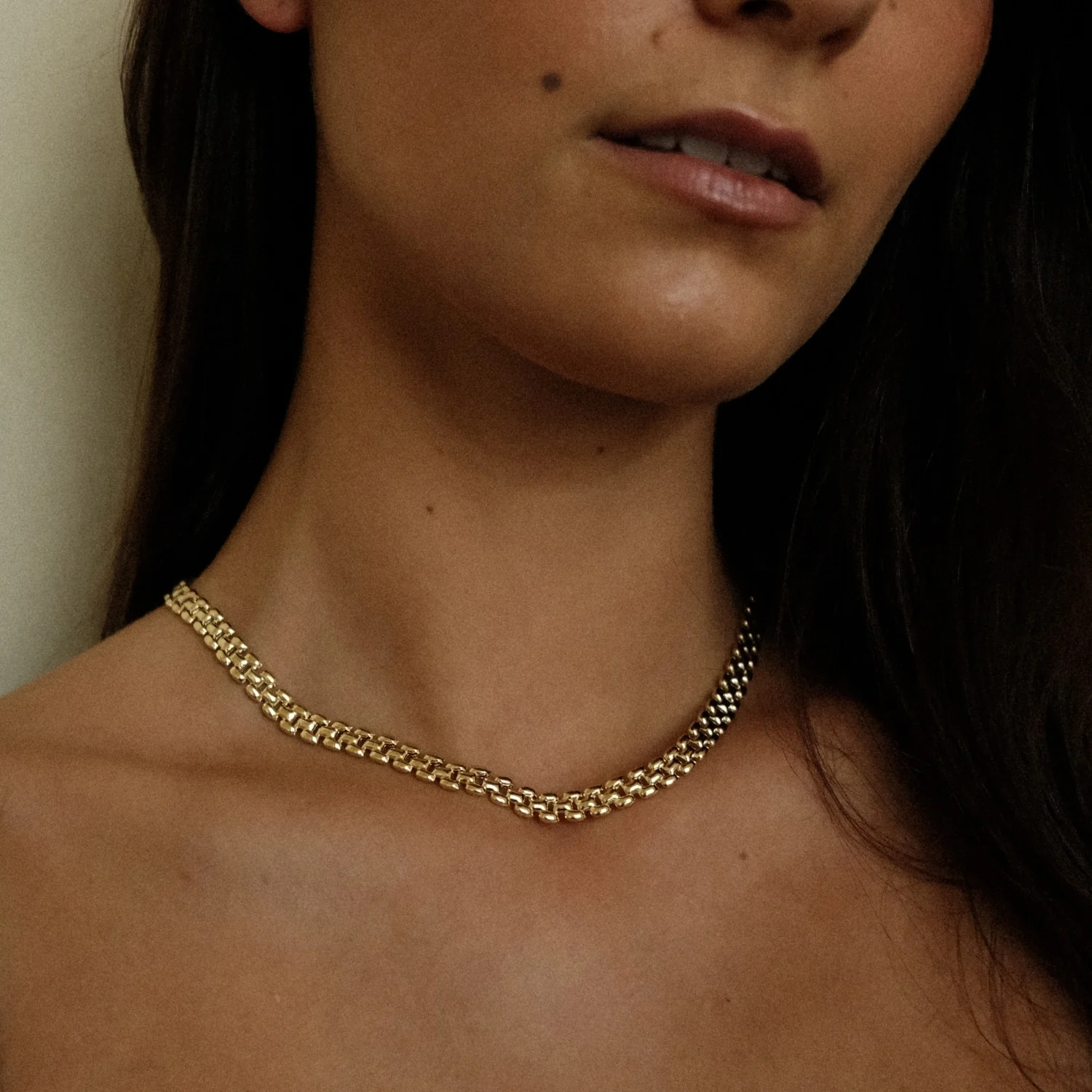 Panther Necklace - Image 4