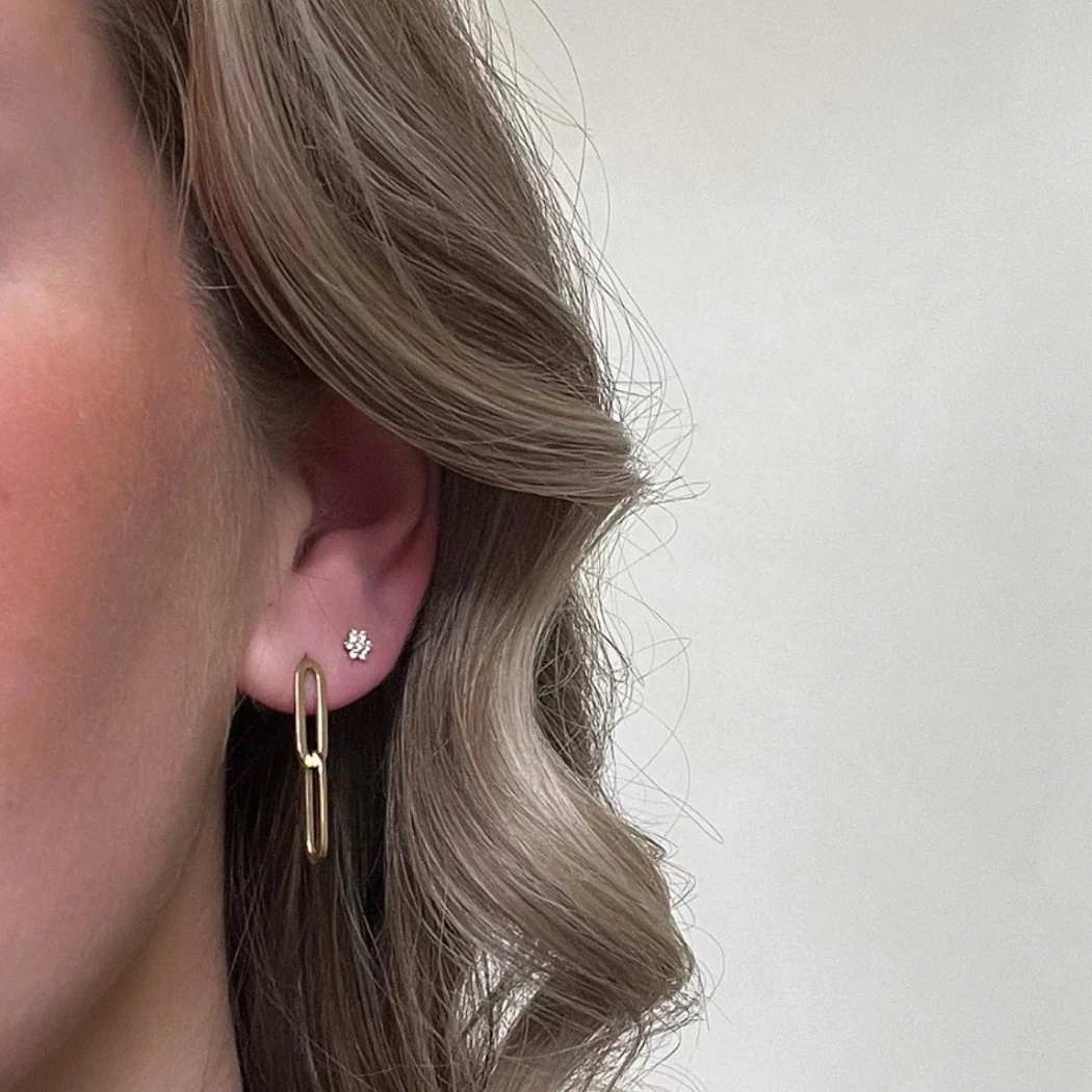 Paperclip Link Earrings - Image 2