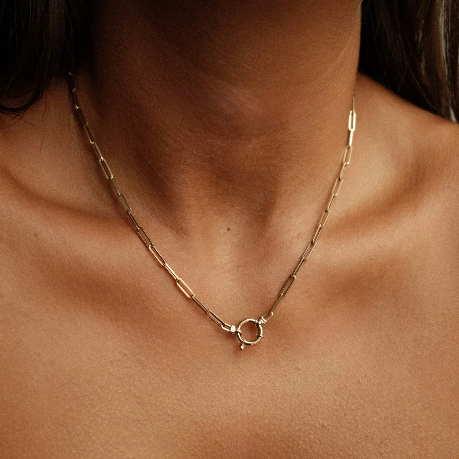 Paperclip Necklace with Springlock - Image 2