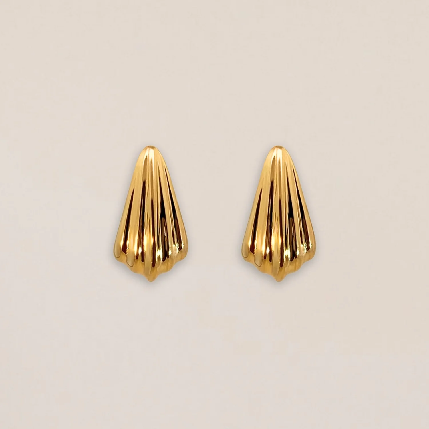 Sculpted Shell Earrings