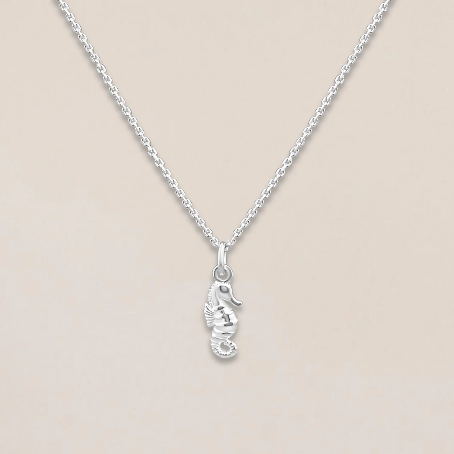 Silver Seahorse Necklace