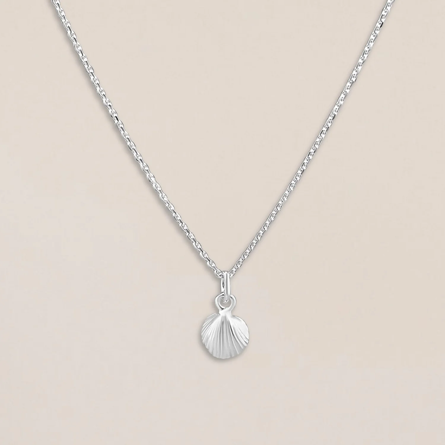 Silver Shell Necklace