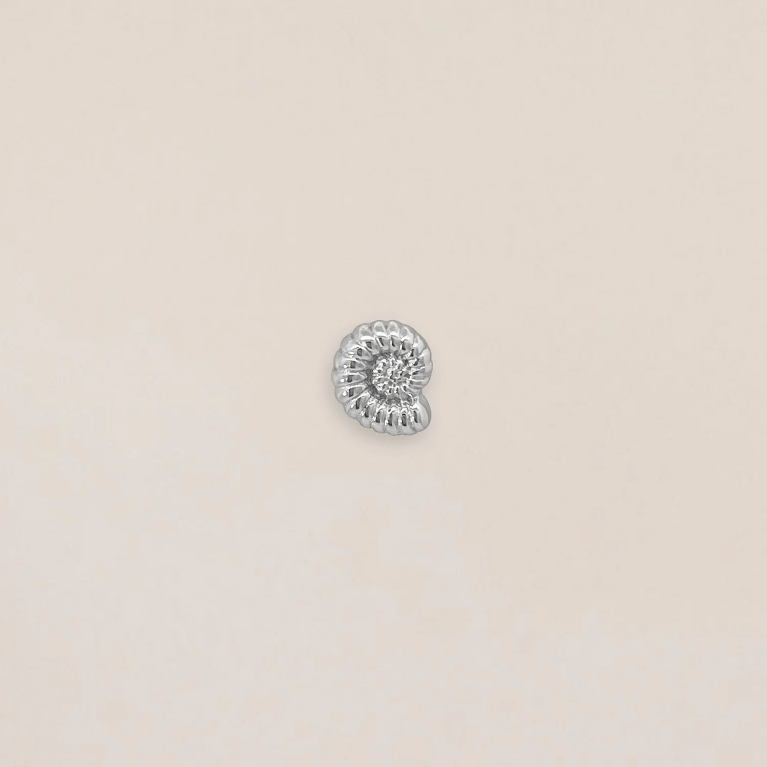 Silver Shell Piercing
